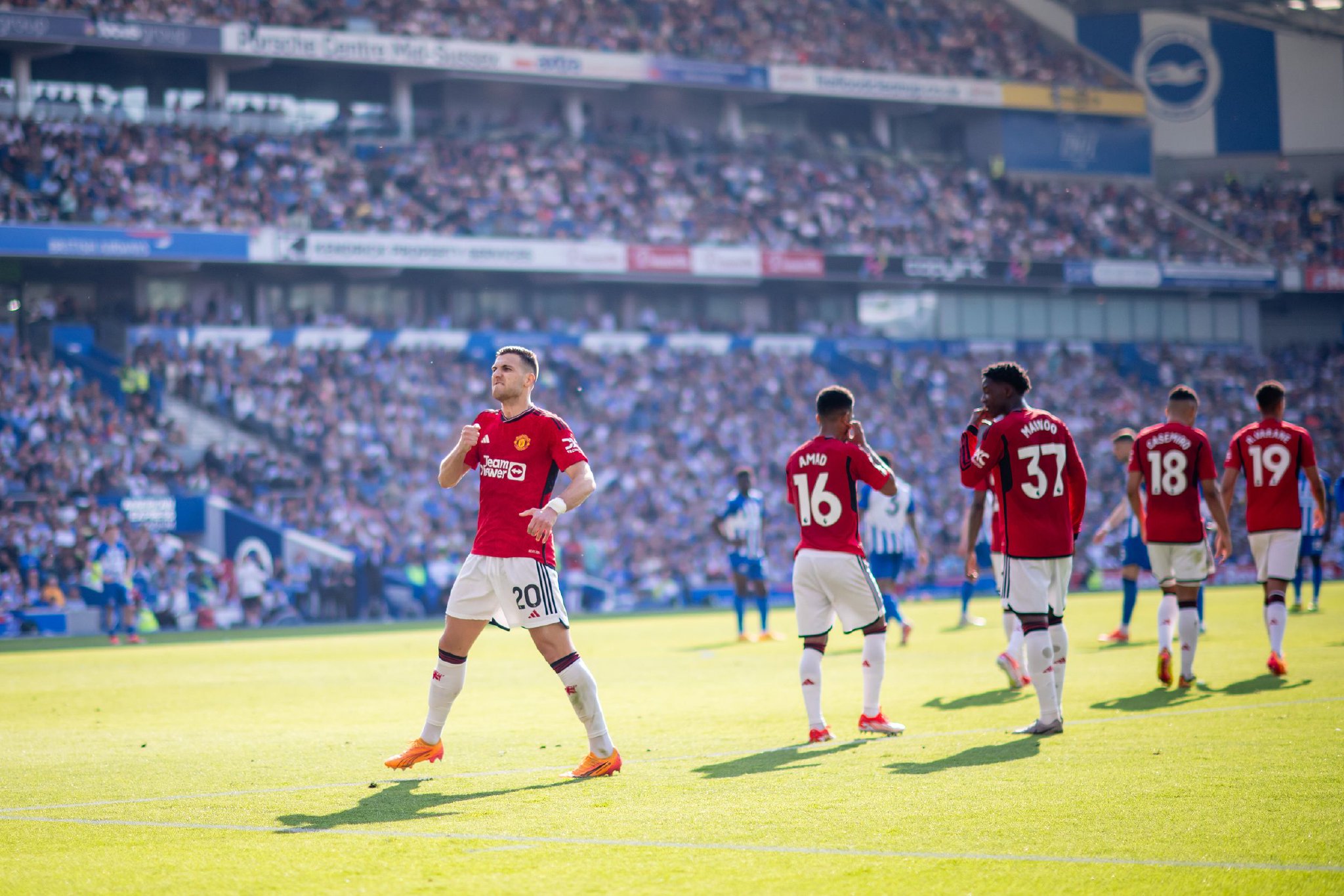 向来充满幽 向来充满幽